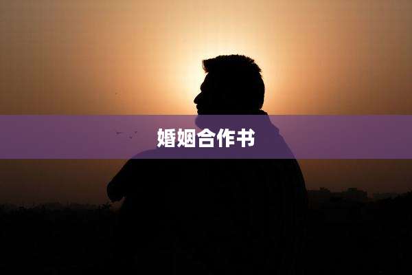 婚姻合作书