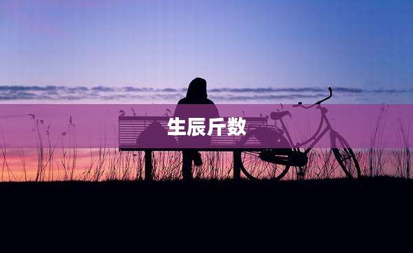 生辰斤数
