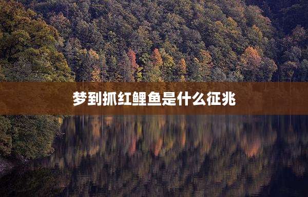 梦到抓红鲤鱼是什么征兆