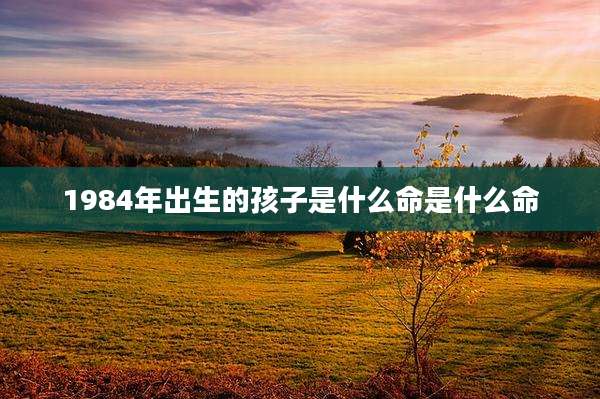 1984年出生的孩子是什么命是什么命
