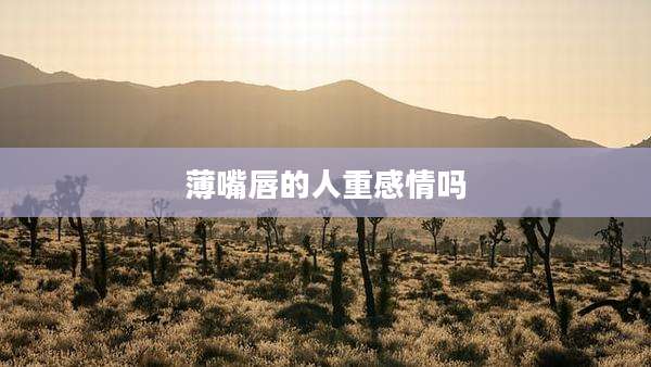 薄嘴唇的人重感情吗