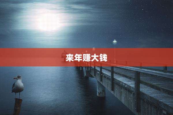 来年赚大钱