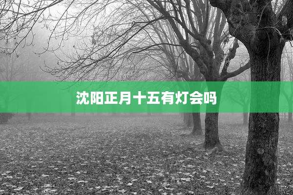 沈阳正月十五有灯会吗