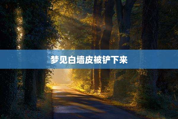 梦见白墙皮被铲下来