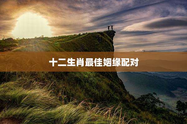 十二生肖最佳姻缘配对