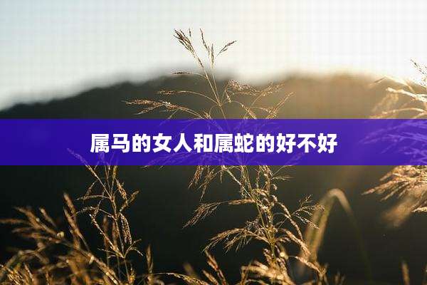 属马的女人和属蛇的好不好