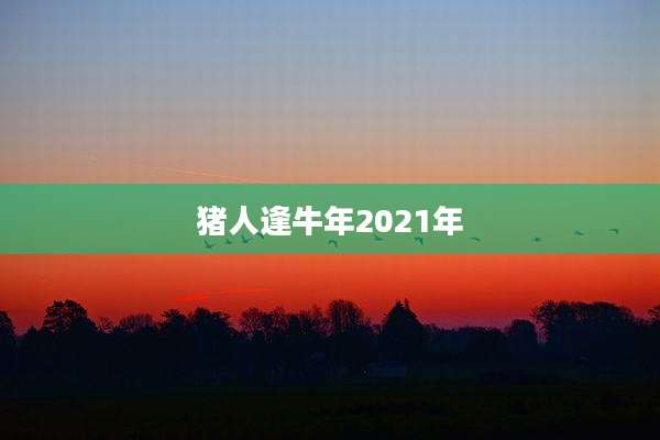 猪人逢牛年2021年