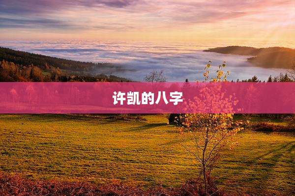 许凯的八字