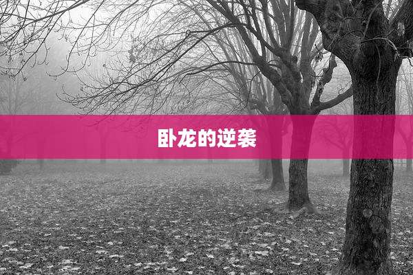 卧龙的逆袭
