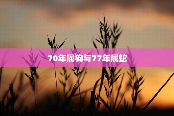 70年属狗与77年属蛇