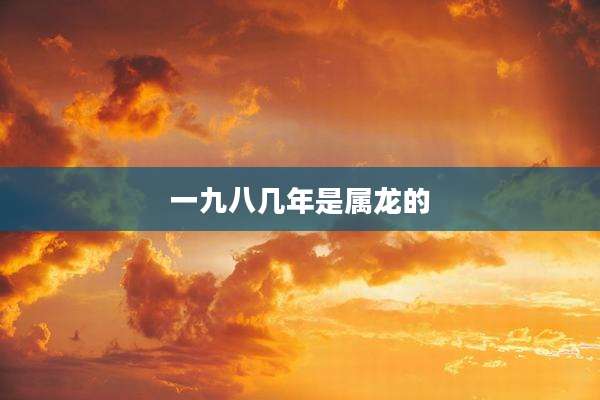 一九八几年是属龙的