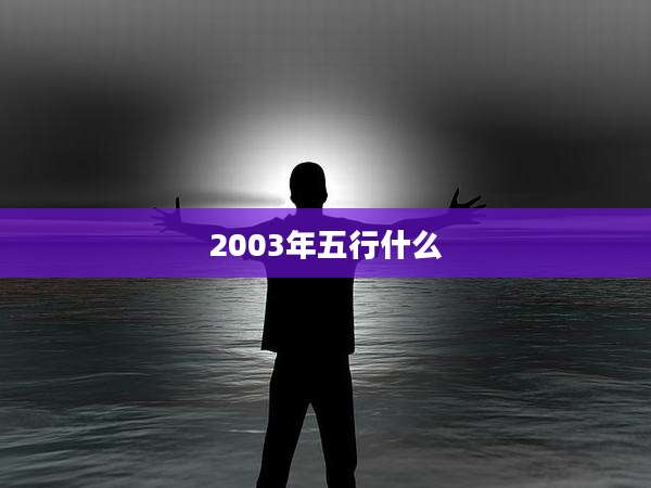 2003年五行什么