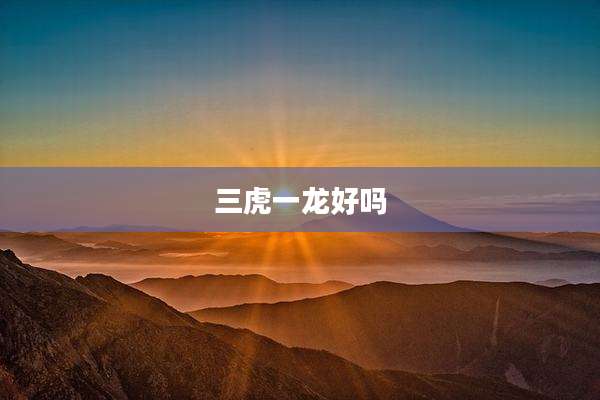 三虎一龙好吗