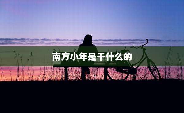 南方小年是干什么的