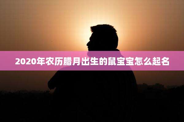 2020年农历腊月出生的鼠宝宝怎么起名