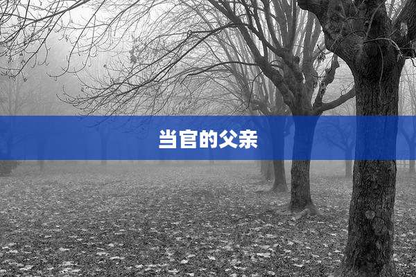 当官的父亲