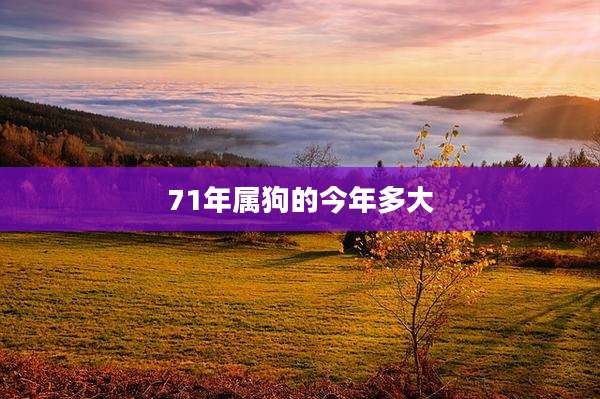 71年属狗的今年多大