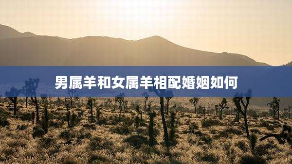 男属羊和女属羊相配婚姻如何