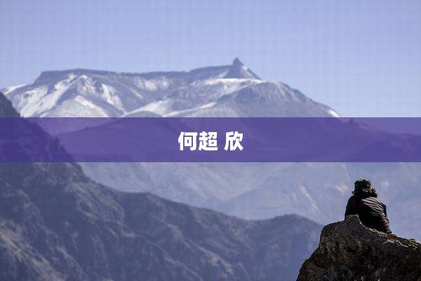 何超 欣
