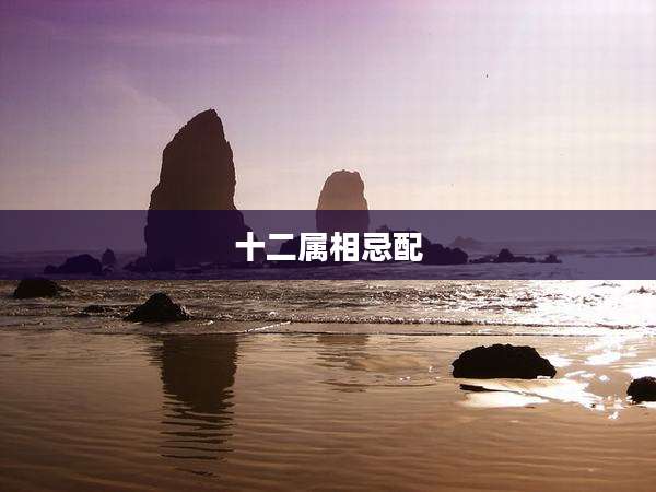 十二属相忌配