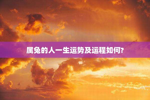属兔的人一生运势及运程如何?