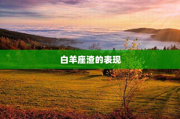 白羊座渣的表现