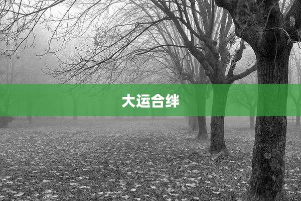 大运合绊