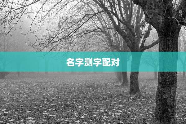 名字测字配对