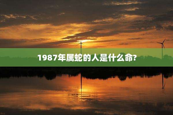 1987年属蛇的人是什么命?
