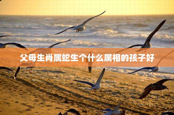 父母生肖属蛇生个什么属相的孩子好