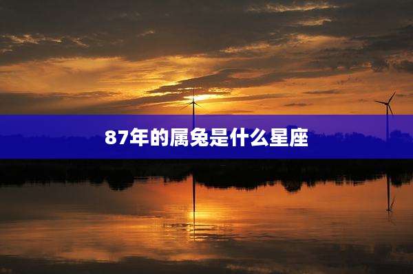 87年的属兔是什么星座