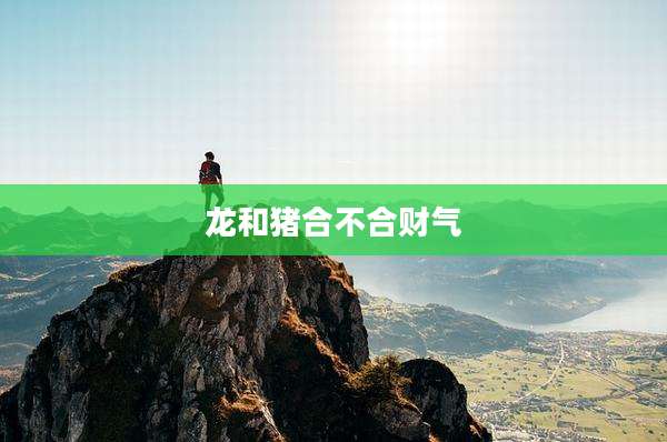 龙和猪合不合财气