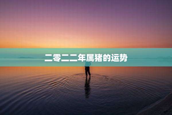 二零二二年属猪的运势