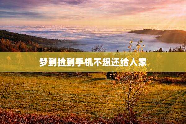 梦到捡到手机不想还给人家