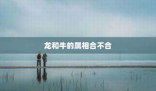 龙和牛的属相合不合