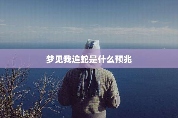 梦见我追蛇是什么预兆