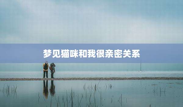 梦见猫咪和我很亲密关系