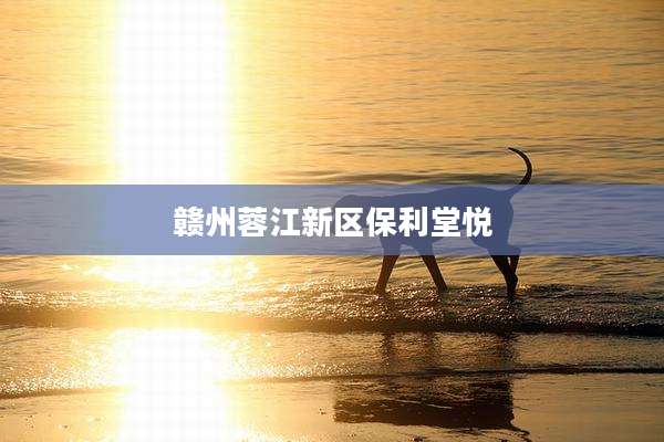 赣州蓉江新区保利堂悦