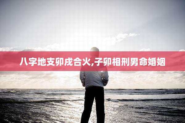 八字地支卯戌合火,子卯相刑男命婚姻
