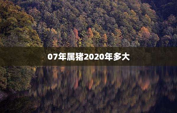 07年属猪2020年多大