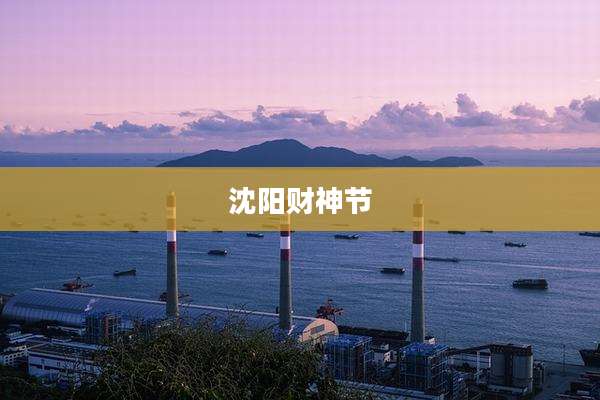 沈阳财神节
