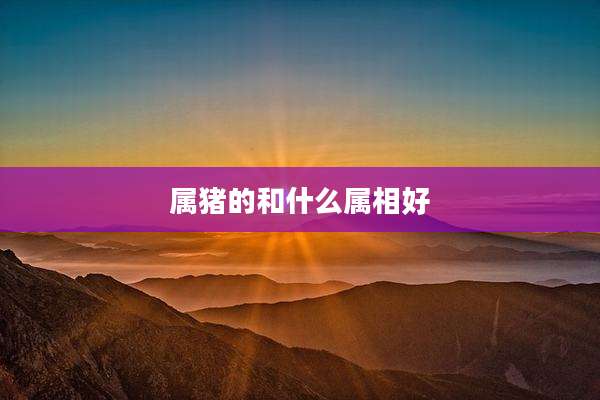 属猪的和什么属相好