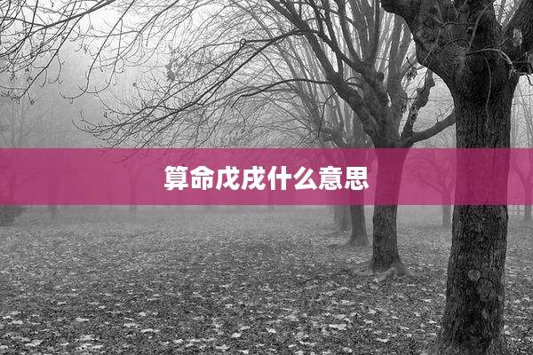 算命戊戌什么意思