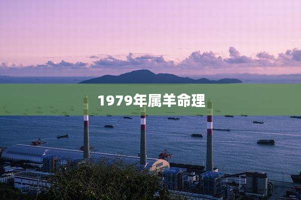 1979年属羊命理