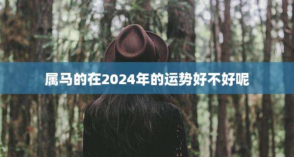 属马的在2024年的运势好不好呢