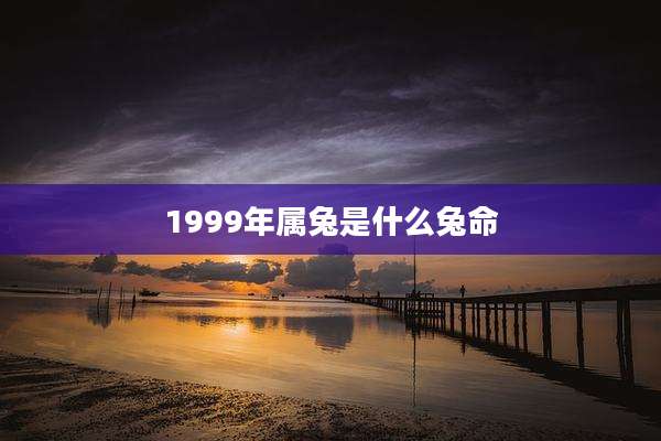 1999年属兔是什么兔命