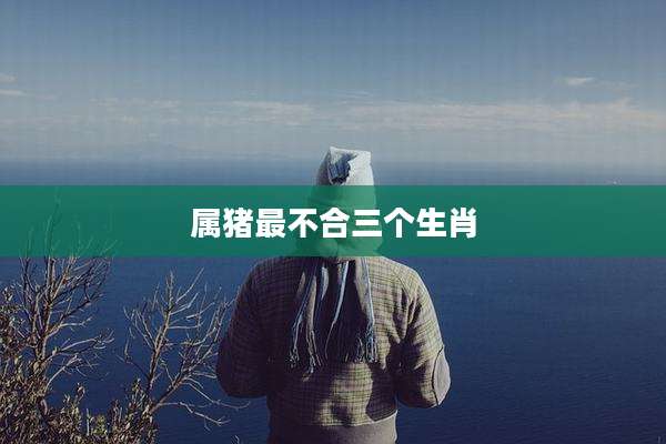 属猪最不合三个生肖