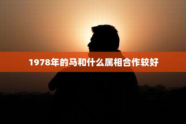1978年的马和什么属相合作较好