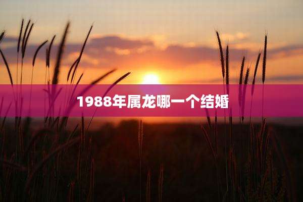1988年属龙哪一个结婚