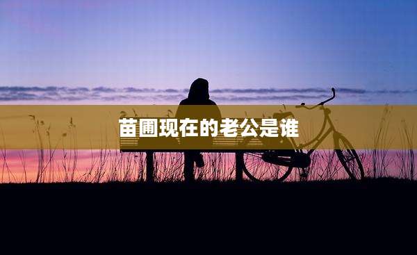 苗圃现在的老公是谁
